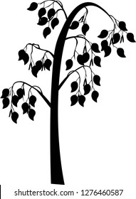 
vector illustration tree silhouette