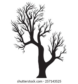 vector illustration of the tree silhouette