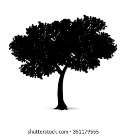 Vector Illustration : Tree silhouette