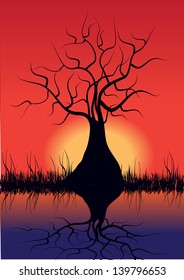vector illustration with tree silhouette in sunset and water reflection