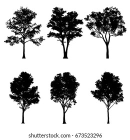 Vector illustration of tree silhouettes for architectural compositions with backgrounds