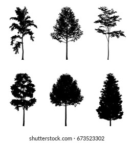 Vektorillustration-Illustration von Baum-Silhouetten für Architekturkompositionen mit Hintergrund