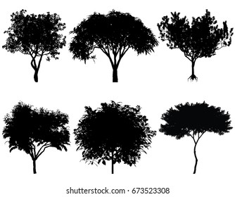 Vector illustration of tree silhouettes for architectural compositions with backgrounds