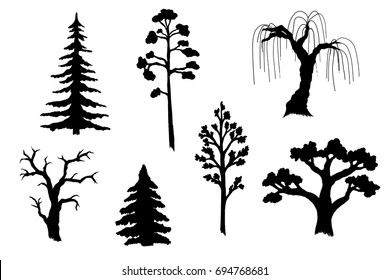 Vector illustration of tree silhouettes. Black forms of the most common trees.