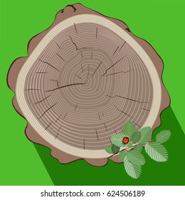Vector Illustration. Tree stump and green plant shoot.