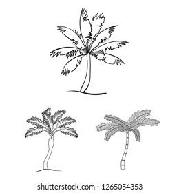 Vector illustration of tree and summer sign. Set of tree and green  stock symbol for web.