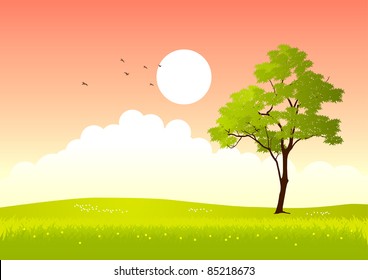 Vector illustration of a tree in summertime