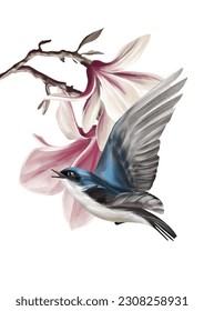Vector illustration with tree swallow and blooming magnolia on isolated background.