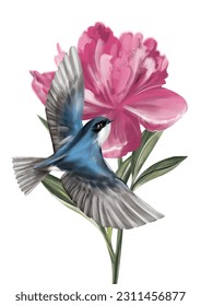 Vector illustration with tree swallow and pink peony on isolated background for greeting cards, invitations, certificate design, posters design and more.