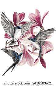 Ilustración vectorial con las golondrinas del árbol y las flores de magnolia rosada sobre el fondo transparente.