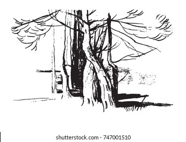 vector illustration of a tree trunk