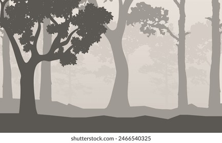 Vector illustration of tree trunks with branches in a foggy forest