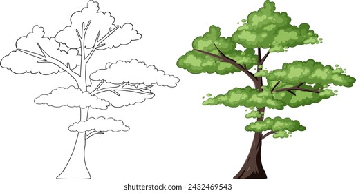 Vector illustration of a tree in two stages