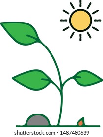 vector illustration tree  under the sun. garden under the hot sun
