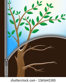 Vector illustration of a tree with a winter and spring landscape divided by a zipper.