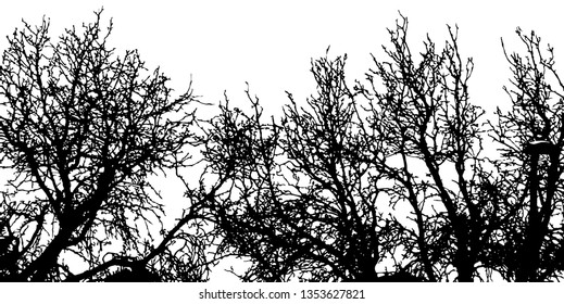 vector illustration of trees background. nature concept.
