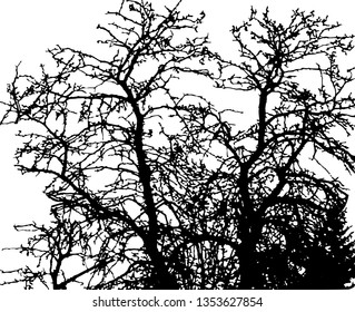 vector illustration of trees background. nature concept.
