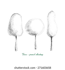 Vector illustration - trees drawn by hand with pencil shading tone, isolated on white background.