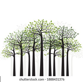 Vector illustration trees. Landscape background with forest