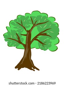 Ilustración vectorial de árboles, árboles frondosos, árboles forestales, verde, marrón claro, verde, dibujos animados, diseño, plantilla