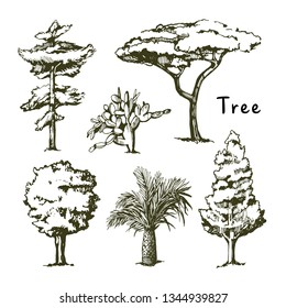 tree sketch Images, Stock Photos & Vectors | Shutterstock
