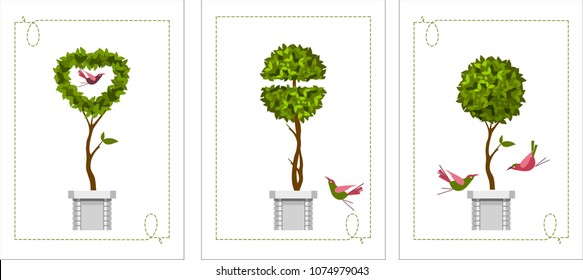 vector illustration trees in pots of topiary on a white background in a set of three greeting cards