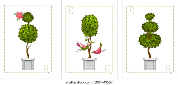 vector illustration trees in pots of topiary on a white background in a set of three greeting cards