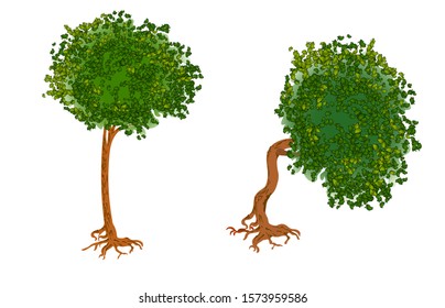 Vector illustration of trees in realistic style with detailed leaves and trunk. Isolated on white background.