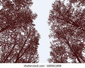 Vector illustration of trees silhouettes in autumn forest