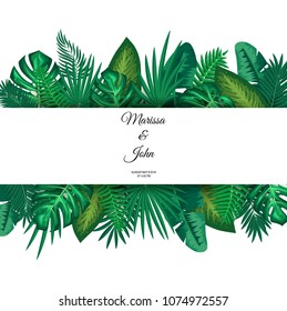 Vector illustration of trendy Summer Tropical Leaves.