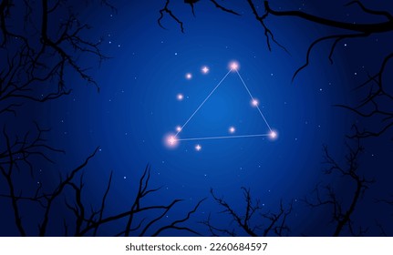 Vektorgrafik Triangulum Australe Konstellation. Baumzweige, dunkelblauer Sternenhimmel