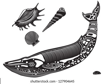 Vector illustration of a tribal totem tattoo animal - whale - and sea/ocean shells and rock