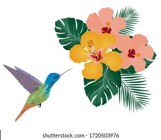 vector illustration of a tropical background. Hummingbird, tropical flowers, palm leaves. Wall decal, decor idea.