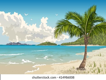 Vector illustration of the tropical beach