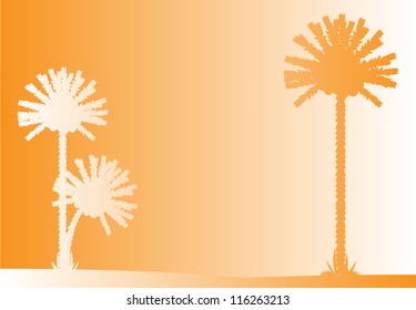 Vector illustration of tropical beach sunset .