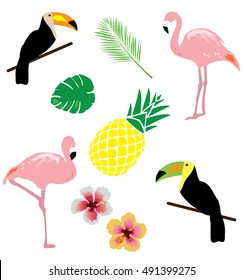 vector illustration of tropical birds, flamingo, toucan, flowers, pineapple, palm leaves