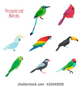 Vector illustration of tropical birds icon