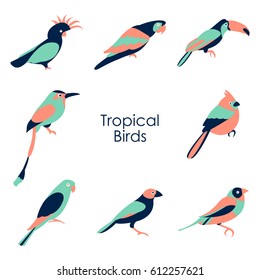 Vector illustration of tropical birds icon