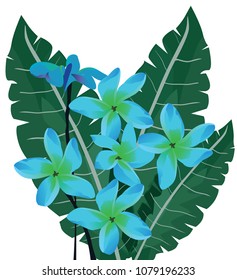 vector illustration of tropical blue flowers with palm leaves