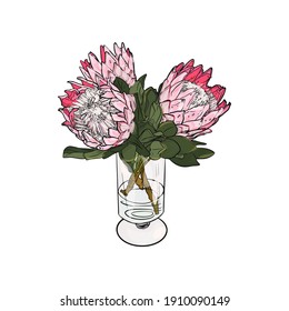 Vector illustration of a tropical bouquet of protea flowers. Isolated drawing of a flower for printing on textiles, logo, florists
