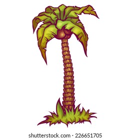 Vector illustration of tropical coconut palm