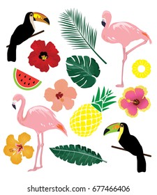 vector illustration of tropical elements, birds, leaves, pineapples, flowers.