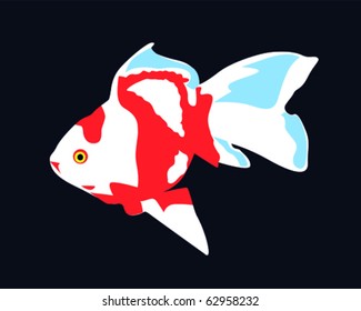 vector illustration of a tropical fish