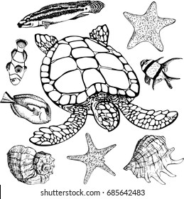 Vector illustration of tropical fish, sea turtle, starfish, shell on white background. Marine set. Perfect for invitations, greeting cards, print, banners, poster for textiles, fashion design.