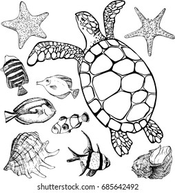 Vector illustration of tropical fish, sea turtle, starfish, shell on white background. Marine set. Perfect for invitations, greeting cards, print, banners, poster for textiles, fashion design.