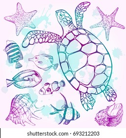 Vector illustration of tropical fish, sea turtle, starfish, shell. Marine set. Perfect for invitations, greeting cards, print, banners, poster for textiles, fashion design.