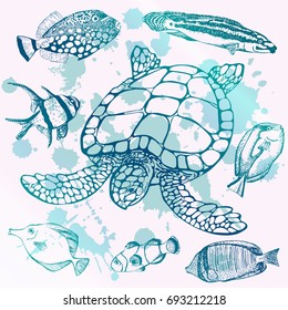 Vector illustration of tropical fish and sea turtle. Marine set. Perfect for invitations, greeting cards, print, banners, poster for textiles, fashion design.