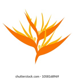 Vector illustration. Tropical flora or plants. Flower blossom. 