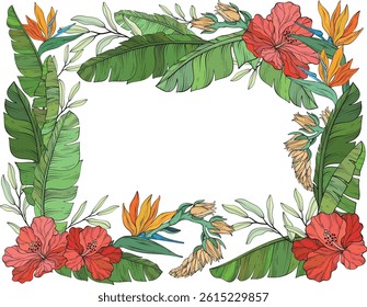 A vector illustration of a tropical floral frame featuring hibiscus flowers, bird of paradise blossoms, and lush green banana leaves on a white background