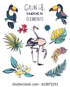 Vector illustration Tropical floral summer beach party card set of design elements with palm leaves, tropical plumeria flowers, flamingo and toucan birds. Colored ink grunge style.